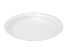 Foam Plates
